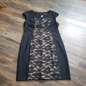 NWT black cocktail dress with lace inset